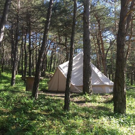 فندق Saint-Martin-de-Clellesفي  Camping La Chabannerie المظهر الخارجي الصورة