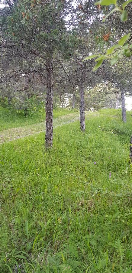فندق Saint-Martin-de-Clellesفي  Camping La Chabannerie المظهر الخارجي الصورة